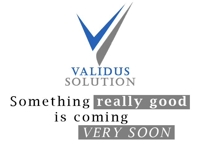 Validus Solution